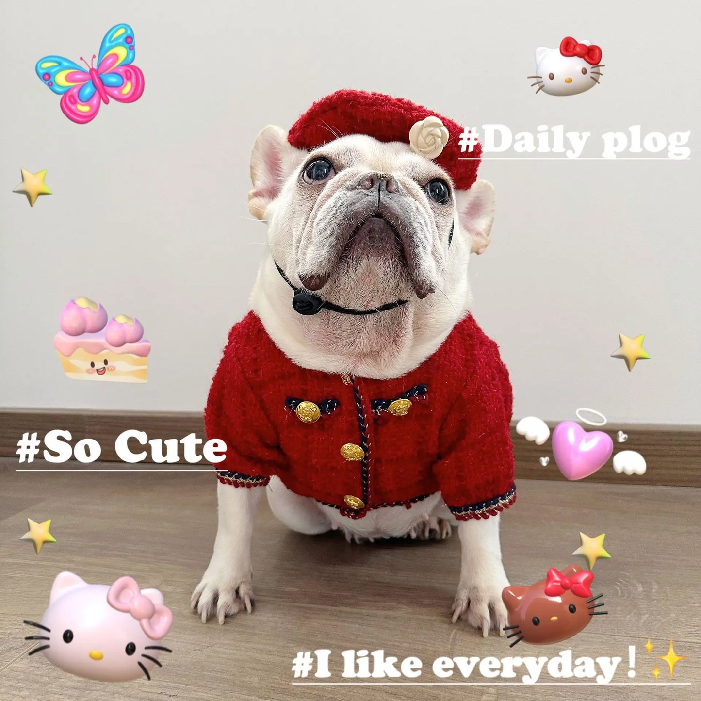 New Winter Classic Plaid Dog Clothes Exquisite Jacket And Hat Set Dog Jacket French Bulldog Schnauzer For Samll Medium Dog