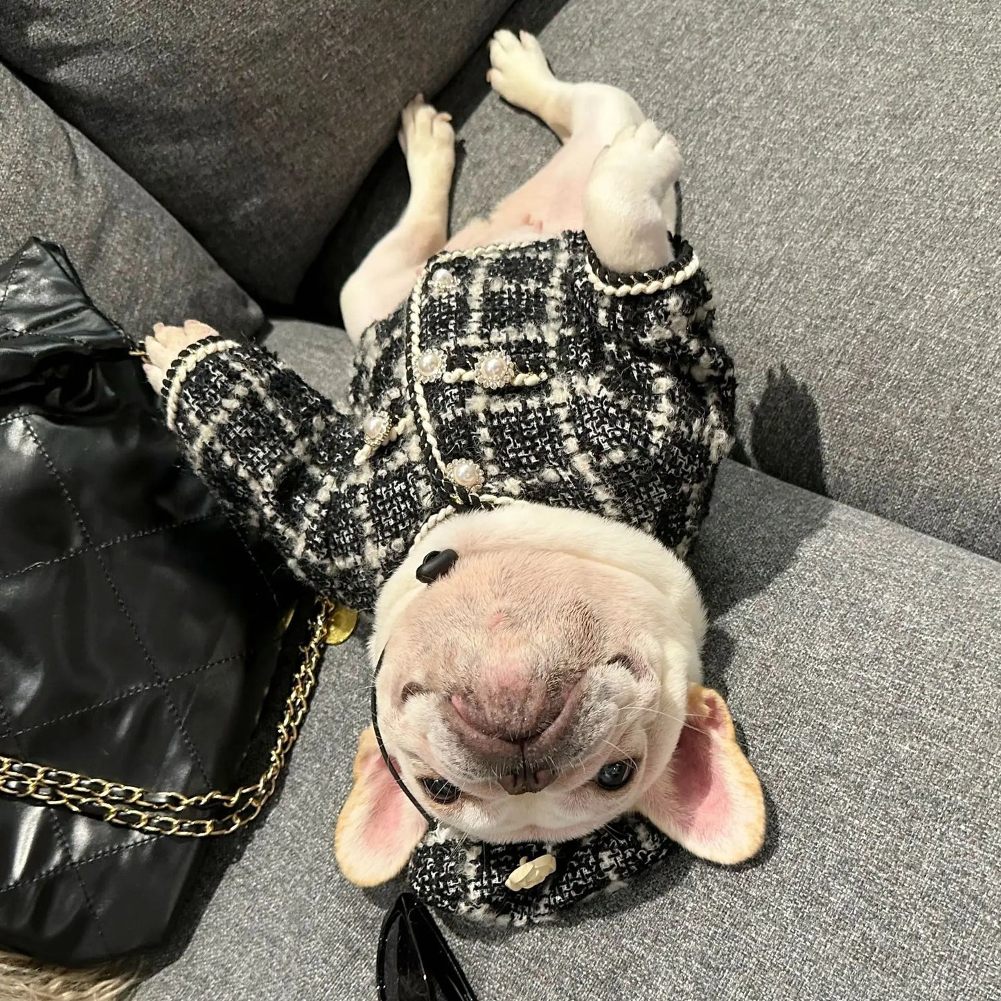New Winter Classic Plaid Dog Clothes Exquisite Jacket And Hat Set Dog Jacket French Bulldog Schnauzer For Samll Medium Dog