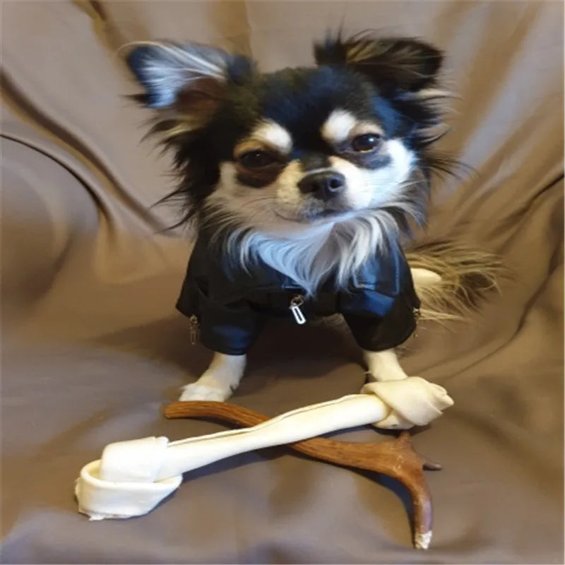 Glorious Eagle Pattern Dog Coat PU Leather Jacket Soft Waterproof Outdoor Puppy Outerwear Fashion Clothes For Small Pet(XXS-XXL)