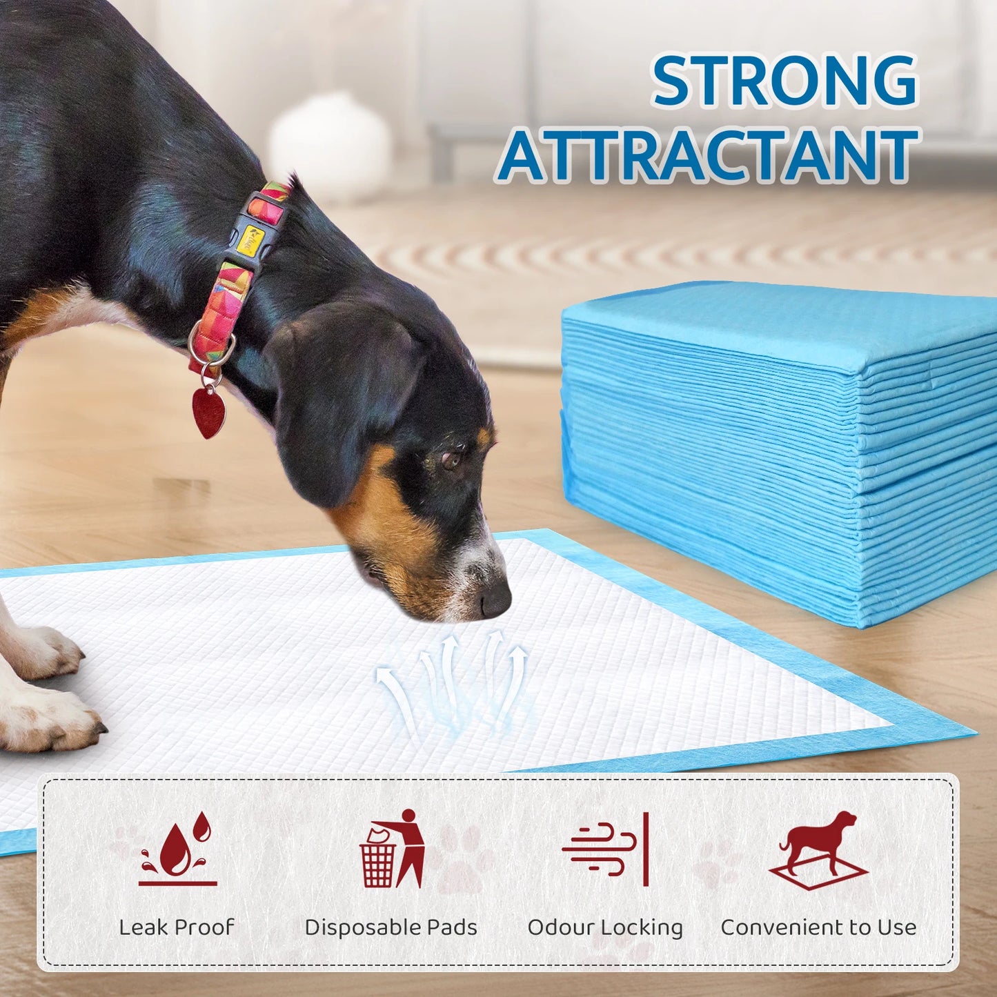 Puppy Training Pads, 100Pack, 56×56cm Disposable Dog Training Pads, Super Absorbent Puppy Pee Pads with Quick-Dry Surface