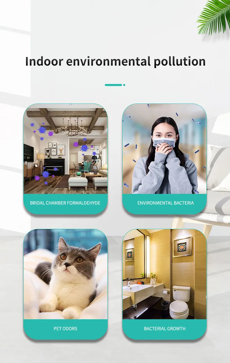 Mini Anion Purifier, Plug-in Air Purifier with Negative Ion Generator Odor Remove for Home, Toilte, Bedrooms, Bathrooms and Pet
