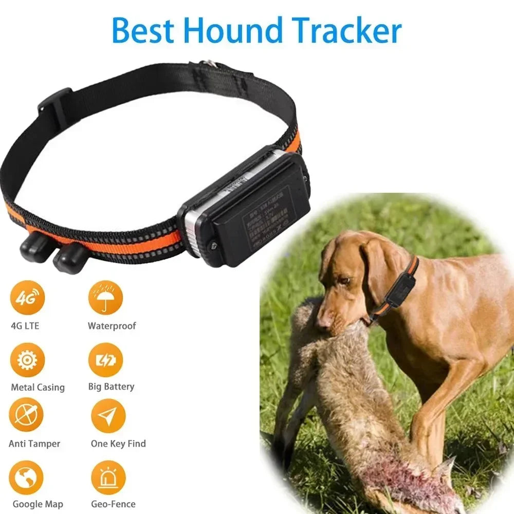 4G Smart Pet Locator Collar, Hunting Dog GPS Tracker Anti-Lost Live Location Free APP 60 Days Standby Waterproof Dog Find Device