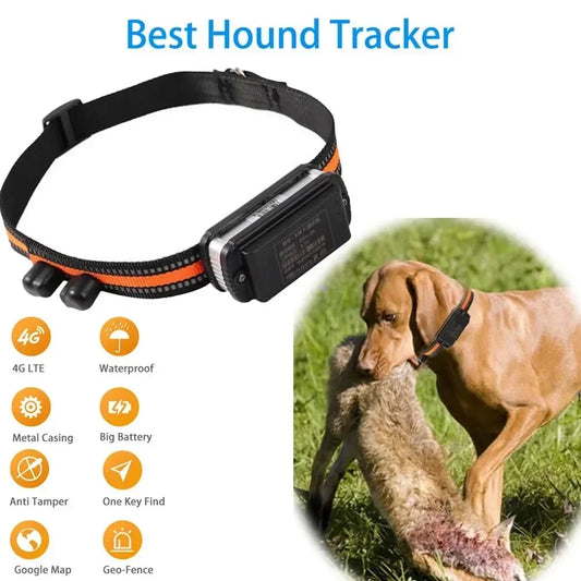 4G Smart Pet Locator Collar, Hunting Dog GPS Tracker Anti-Lost Live Location Free APP 60 Days Standby Waterproof Dog Find Device