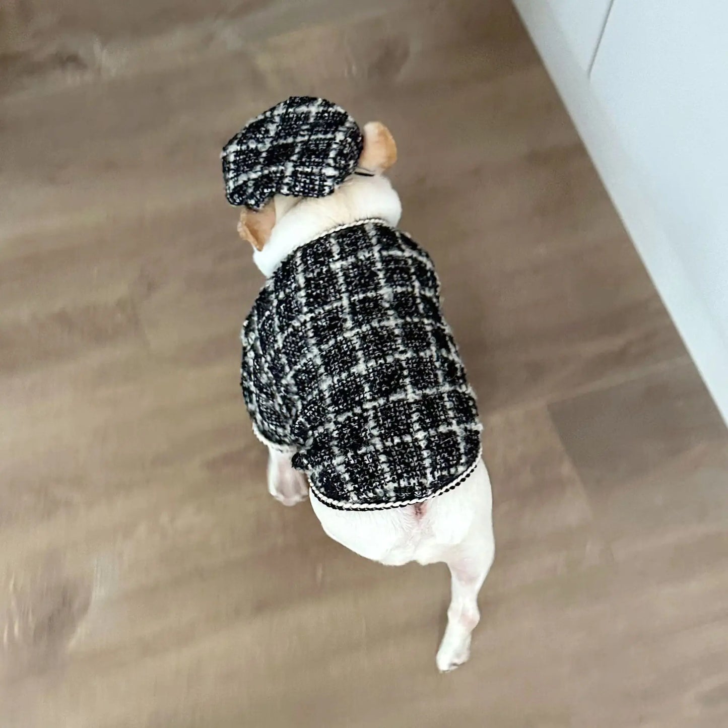New Winter Classic Plaid Dog Clothes Exquisite Jacket And Hat Set Dog Jacket French Bulldog Schnauzer For Samll Medium Dog