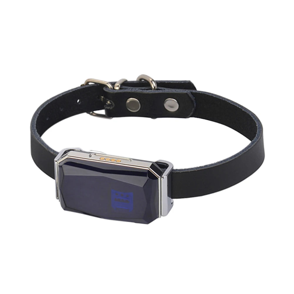 Smart Positioning Tracker Wearable Collar Pet Tracking Locator Waterproof IP67 Anti-lost Record Multifunctional for Kids Elderly
