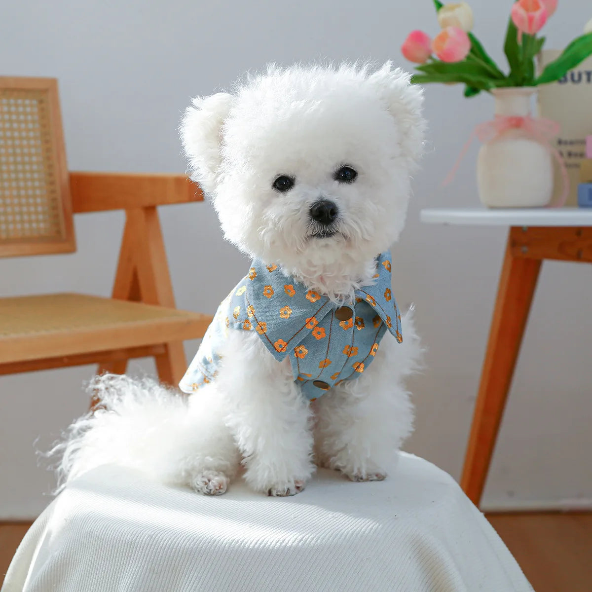 Denim Doggie Pet Jacket Sleeveless Vest Jeans Coat Autumn Spring Wear Apparel For Small Medium Dog XS XL Cat Puppy Clothes Goods