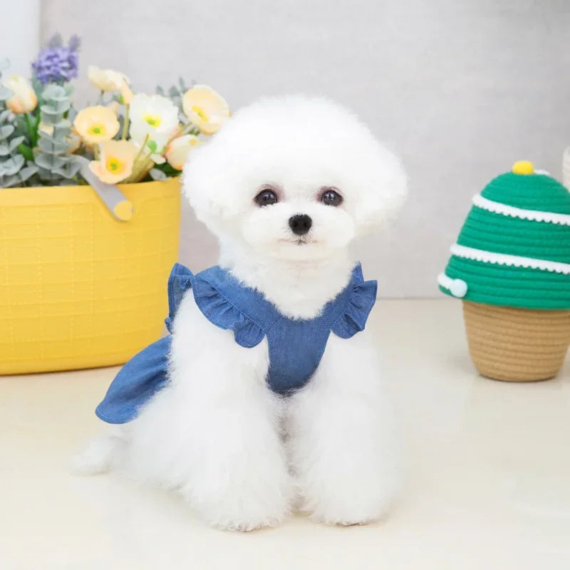 Thin Style Pet Dog Dress Letters Embroidered Jean Clothes for Small Dogs Puppy Cat Harness Vest Girl Dog Summer Skirts Yorkies