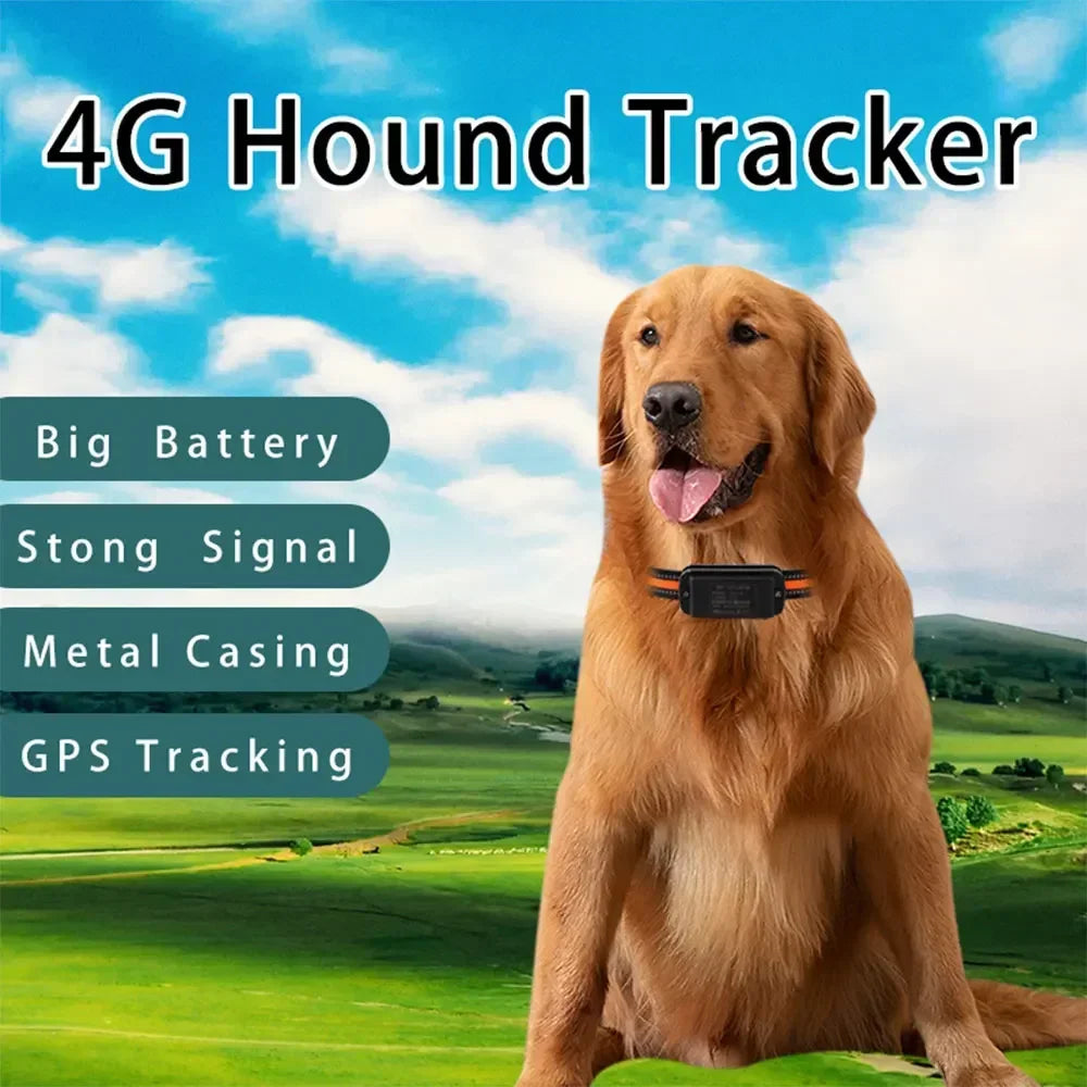 4G Smart Pet Locator Collar, Hunting Dog GPS Tracker Anti-Lost Live Location Free APP 60 Days Standby Waterproof Dog Find Device